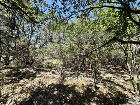 854 Maximino Ridge Bulverde TX 78163