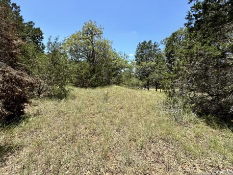 854 Maximino Ridge Bulverde TX 78163