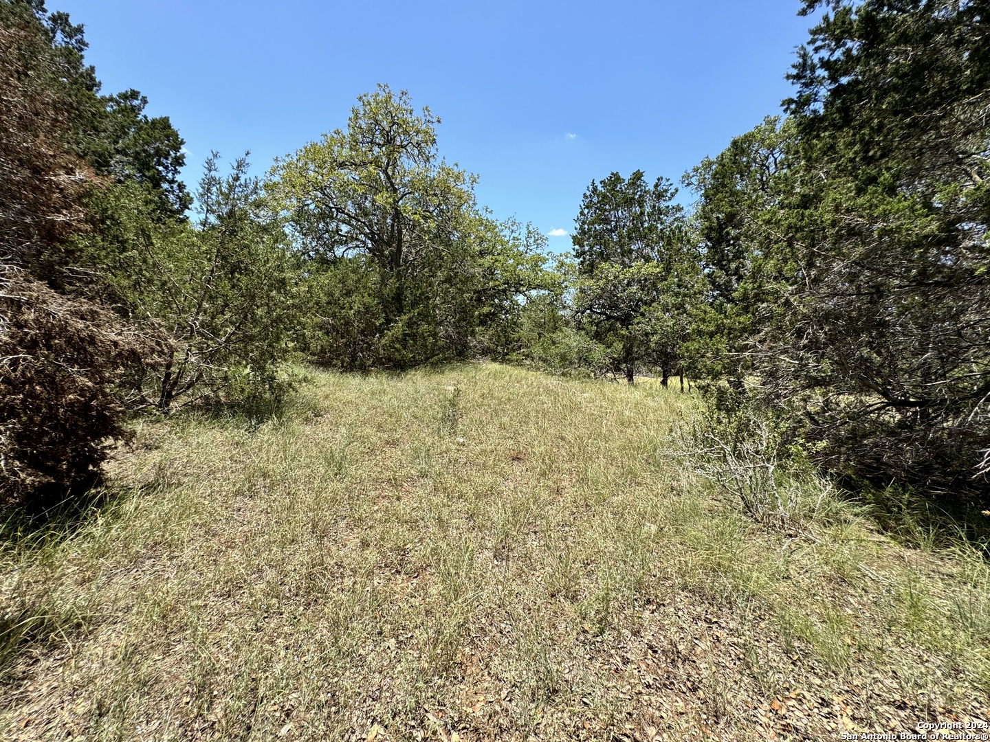 854 Maximino Ridge Bulverde TX 78163