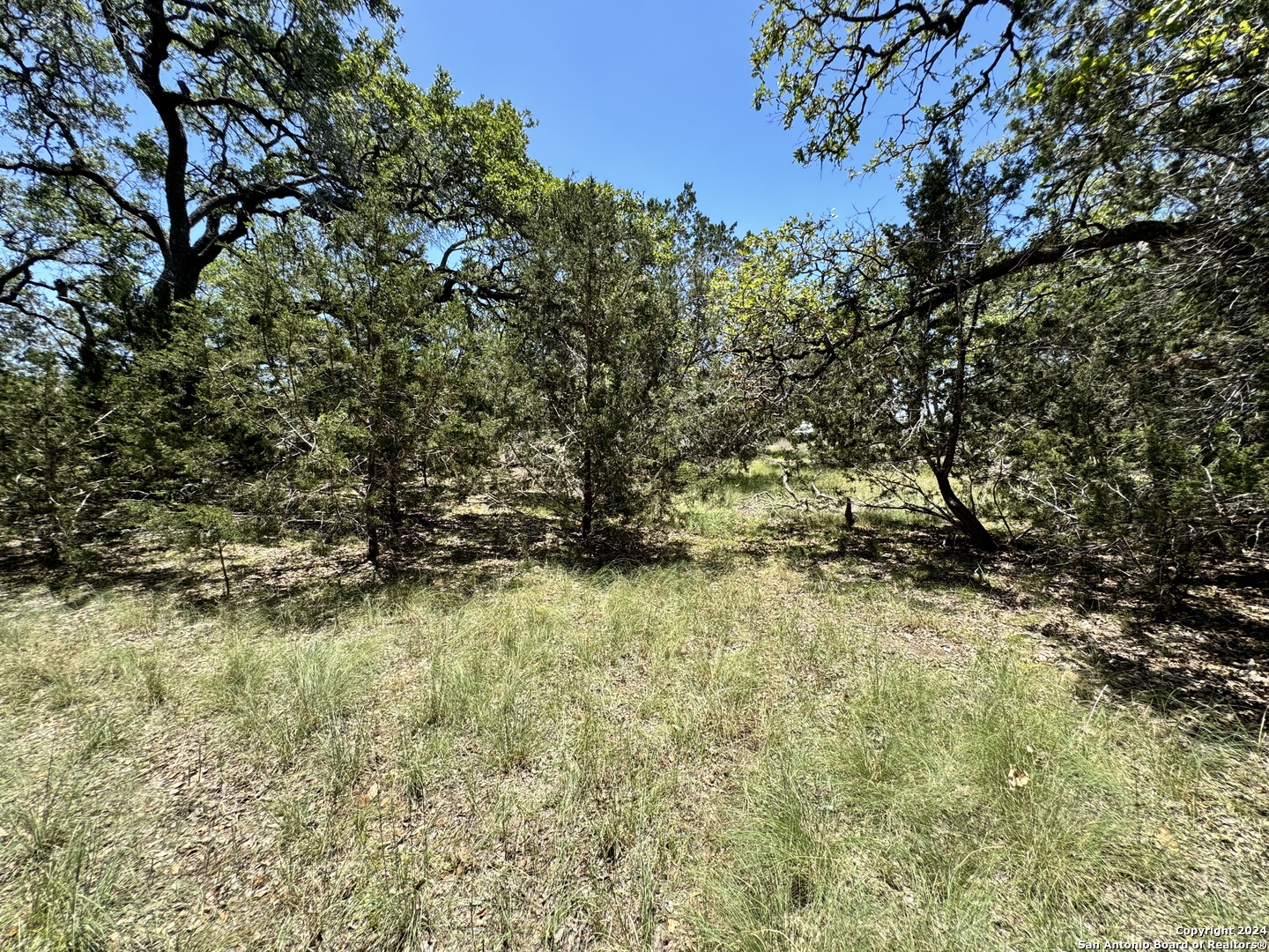854 Maximino Ridge Bulverde TX 78163