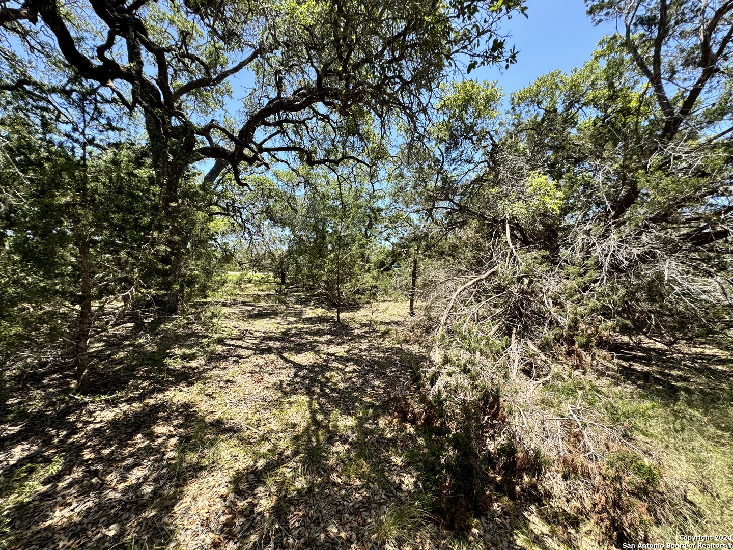 854 Maximino Ridge Bulverde TX 78163