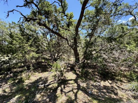 854 Maximino Ridge Bulverde TX 78163