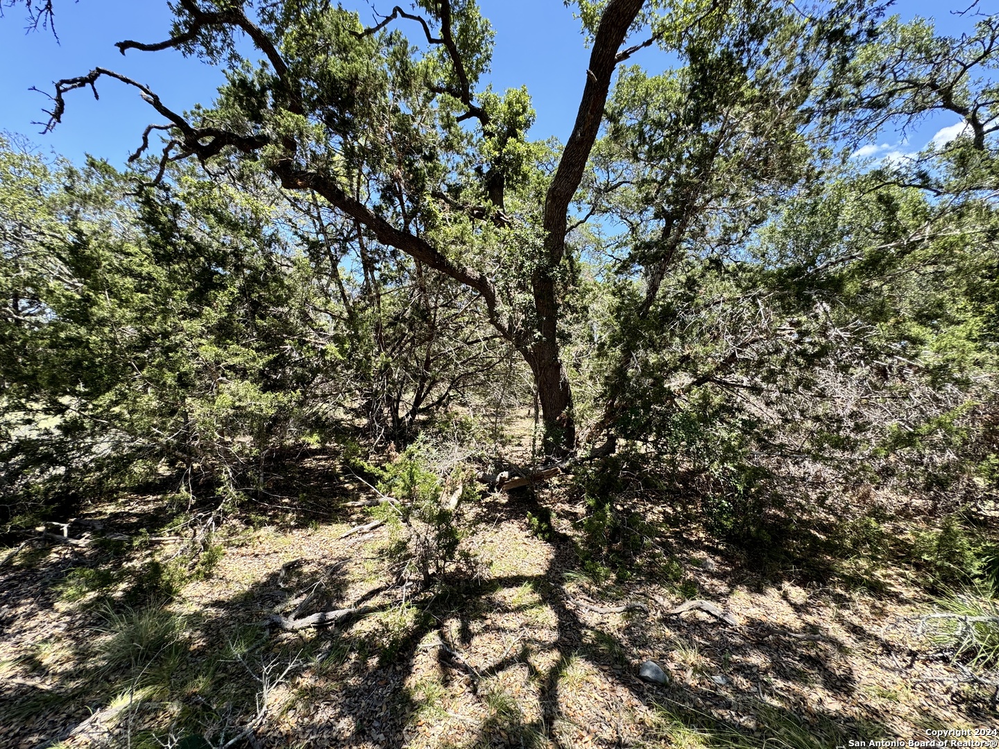854 Maximino Ridge Bulverde TX 78163