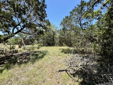 854 Maximino Ridge Bulverde TX 78163