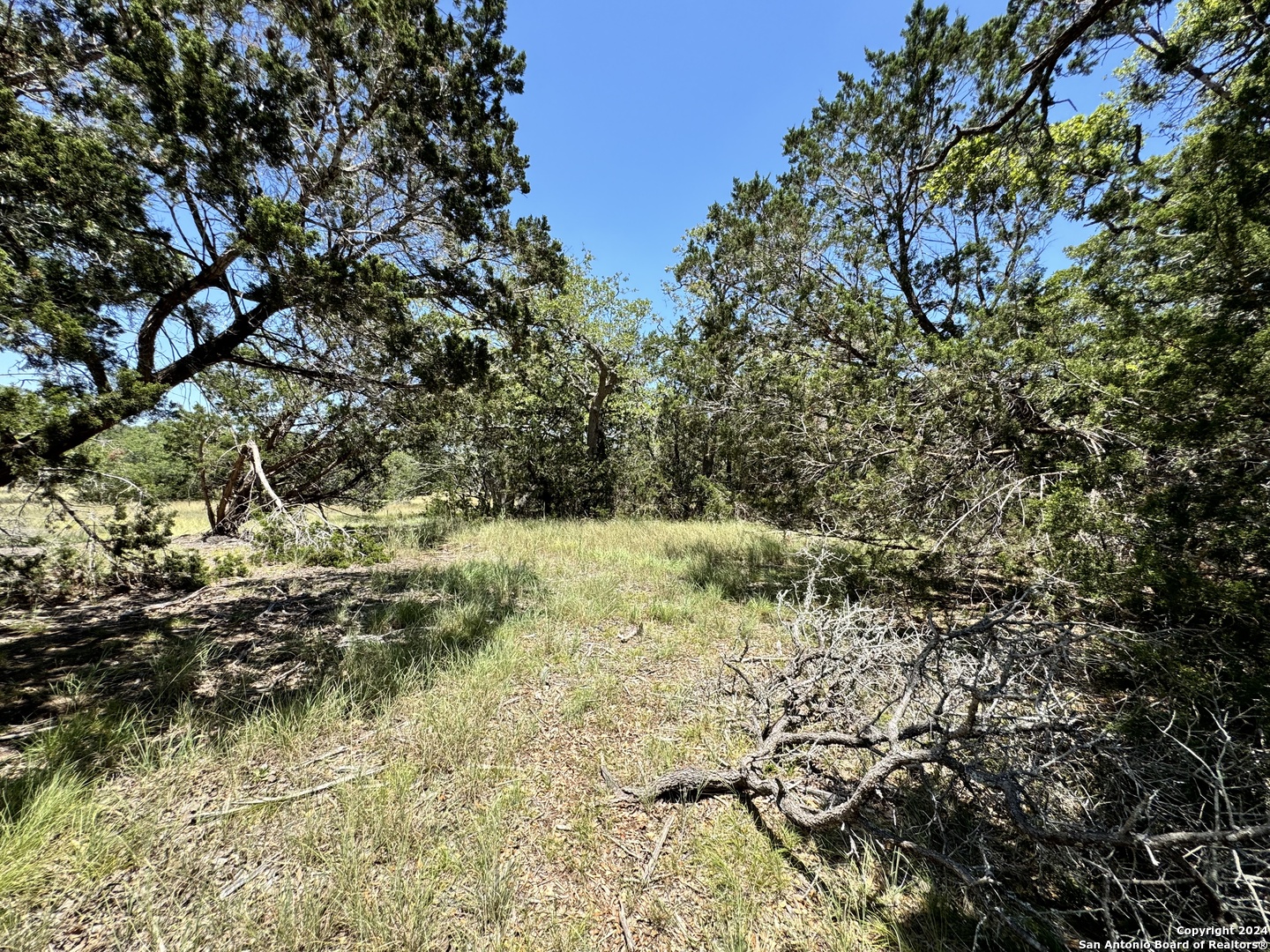 854 Maximino Ridge Bulverde TX 78163