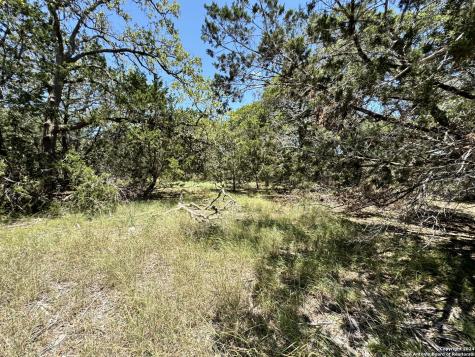 854 Maximino Ridge Bulverde TX 78163