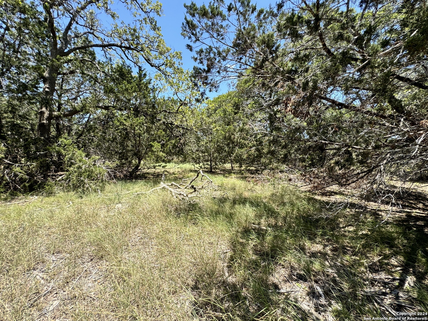 854 Maximino Ridge Bulverde TX 78163