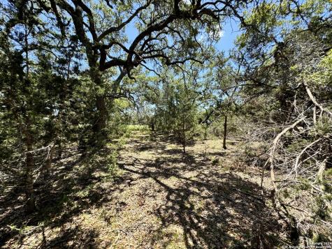 854 Maximino Ridge Bulverde TX 78163