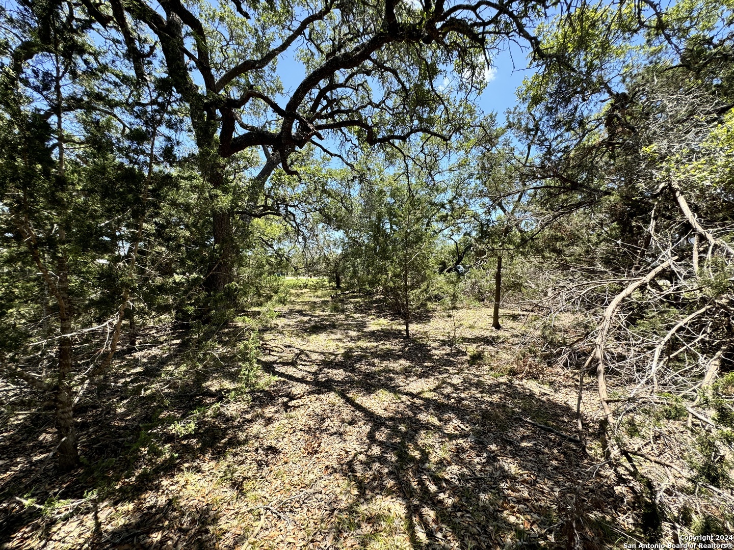 854 Maximino Ridge Bulverde TX 78163