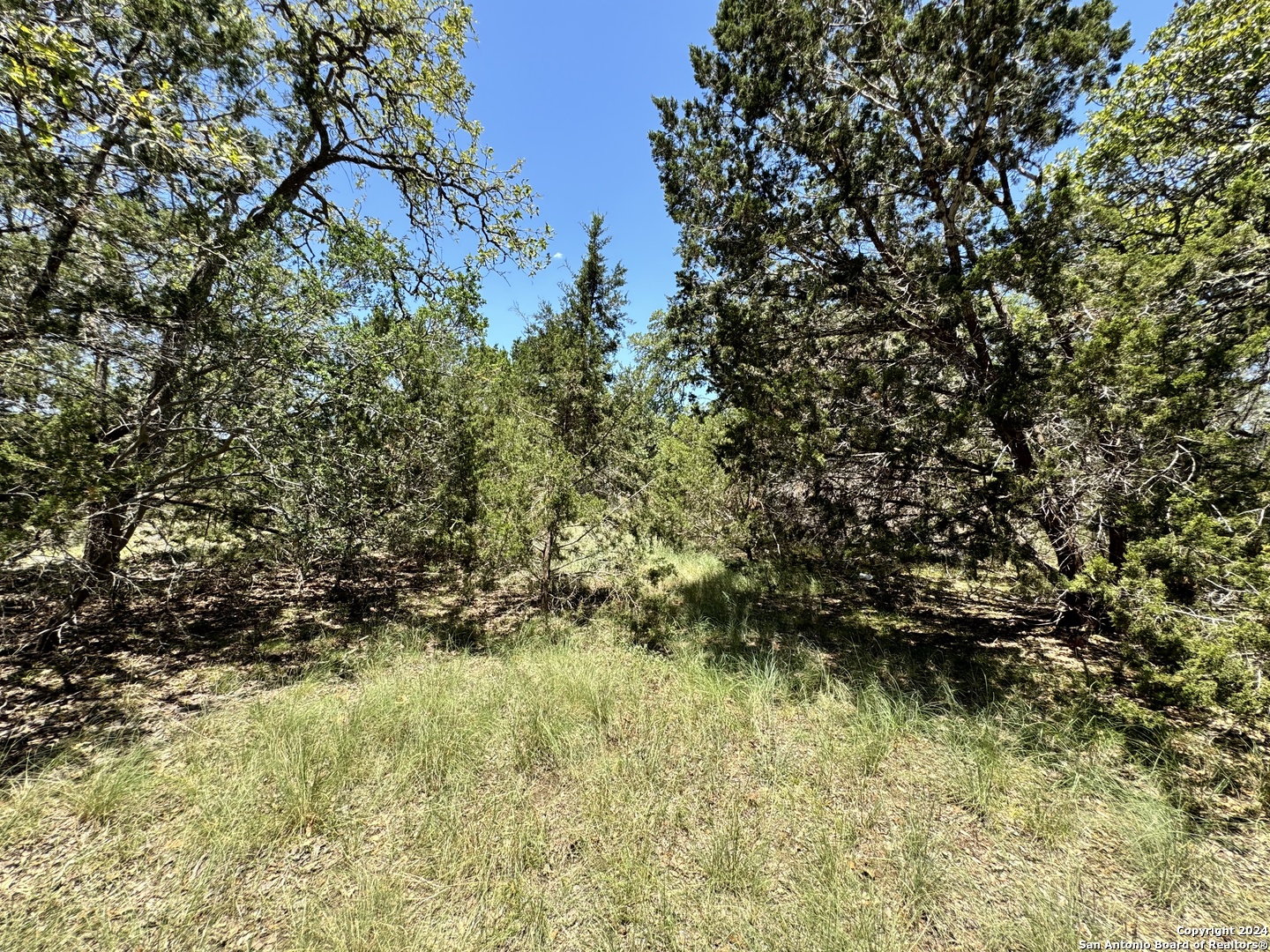 854 Maximino Ridge Bulverde TX 78163