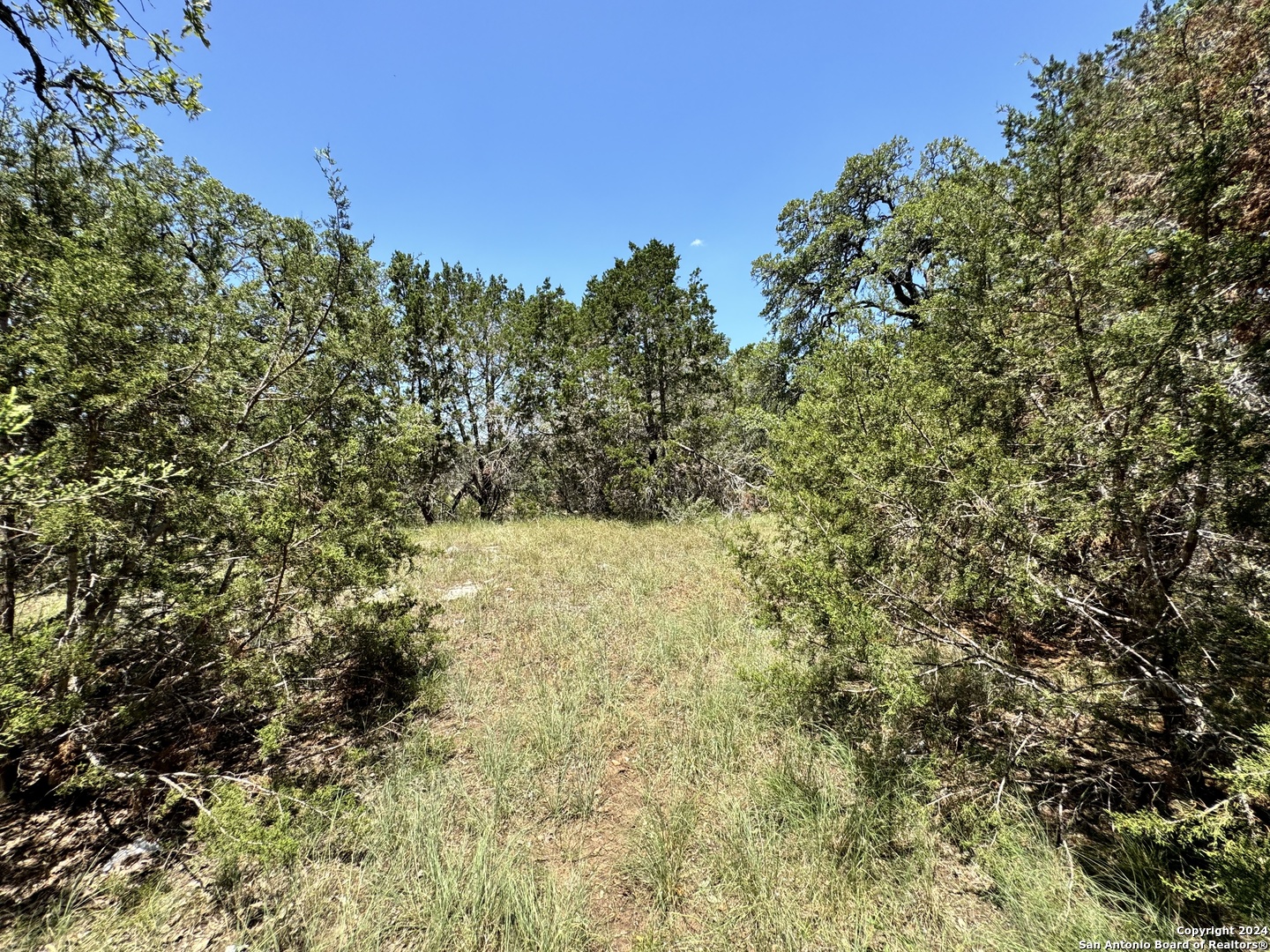 854 Maximino Ridge Bulverde TX 78163
