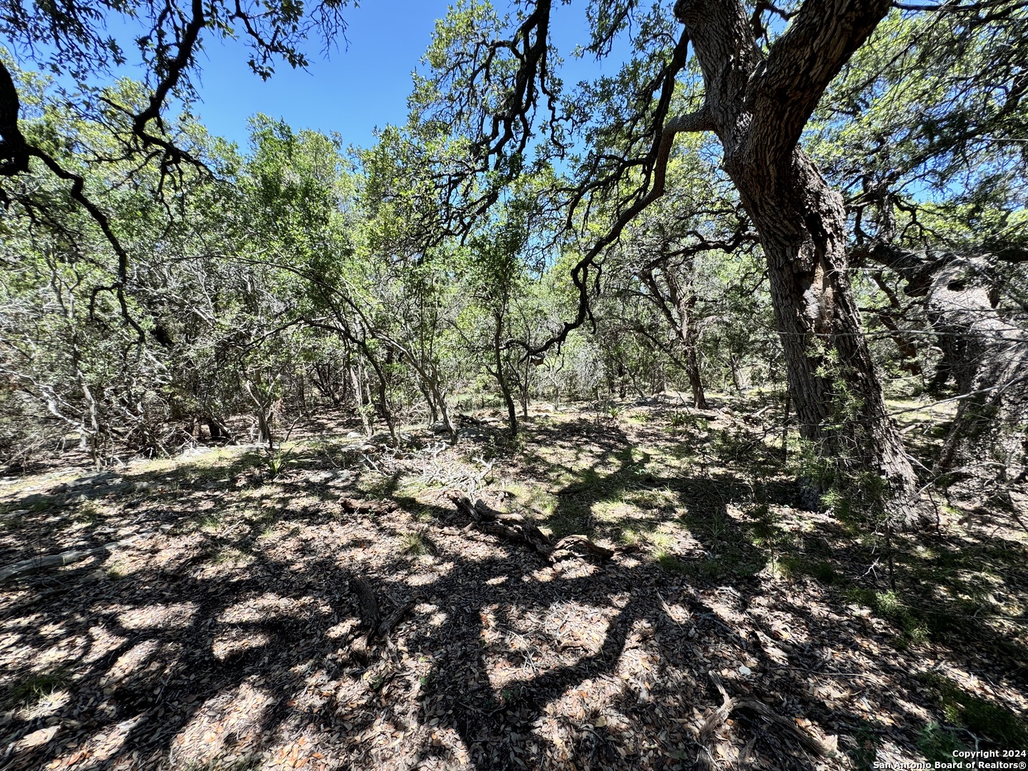 854 Maximino Ridge Bulverde TX 78163