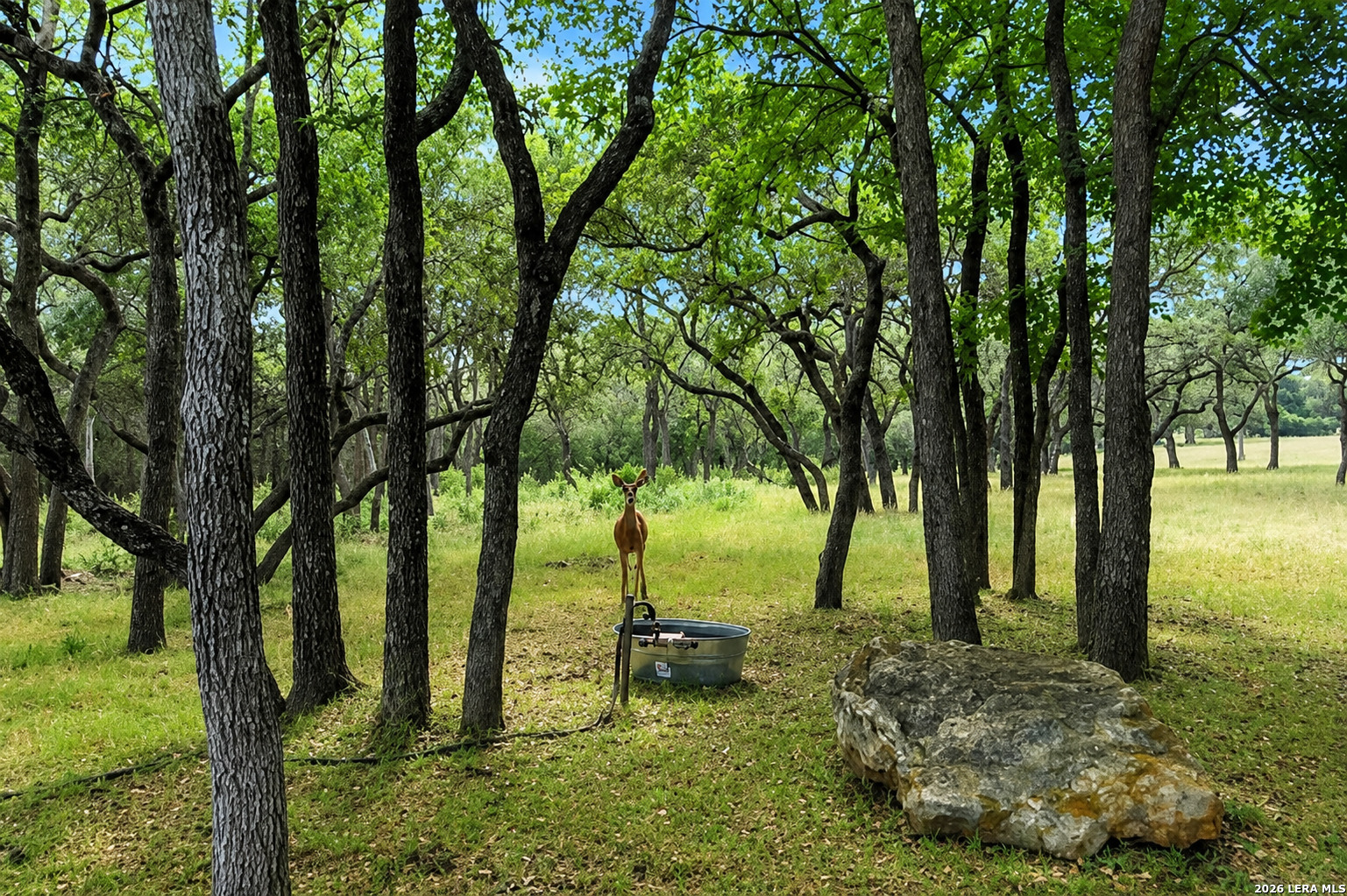 3 Westelm Point San Antonio TX 78230