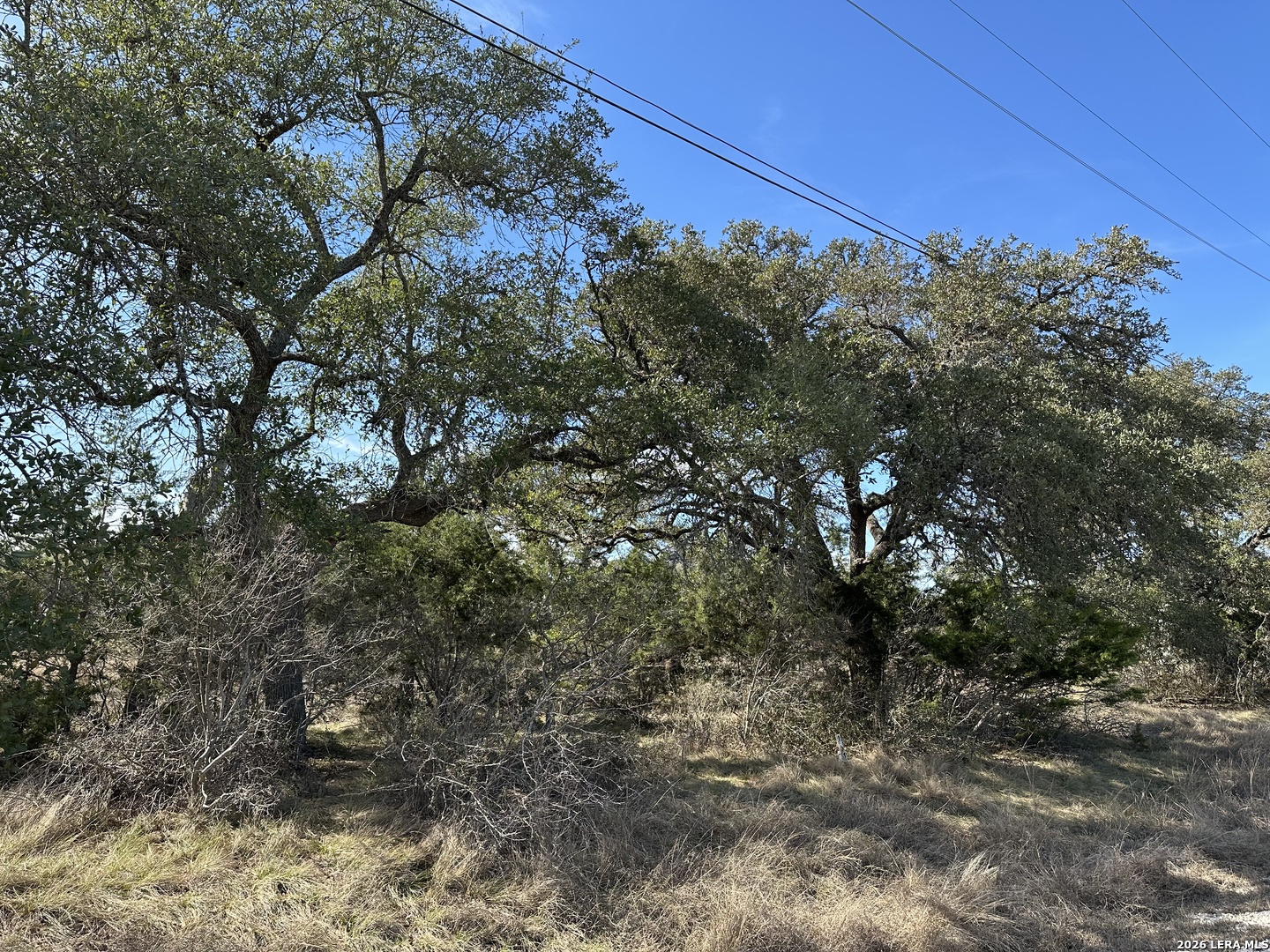 116 Ephram Mclane Blanco TX 78606
