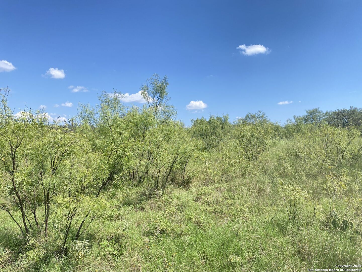 000 Mockingbird Lane Camp Wood TX 78833