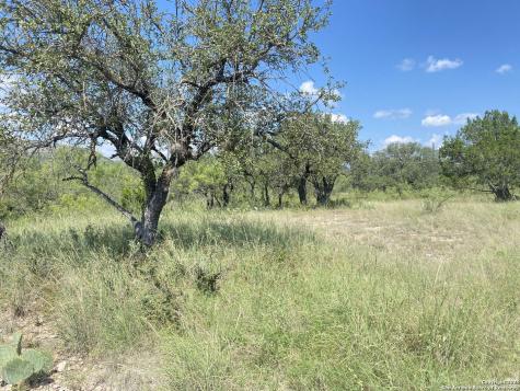 000 Mockingbird Lane Camp Wood TX 78833