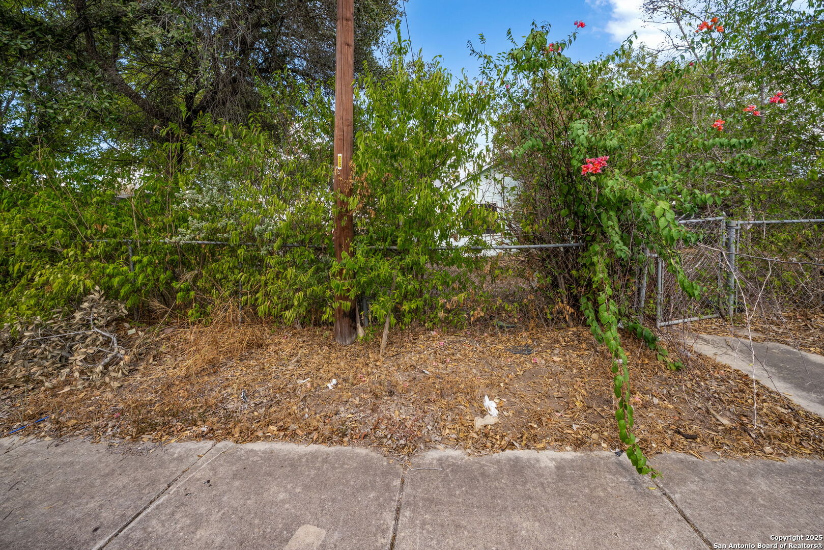 1703 San Casimiro San Antonio TX 78214