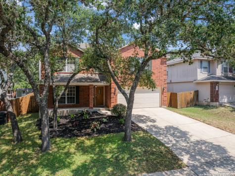 1119 Lion King San Antonio TX 78251