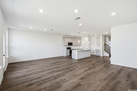 166 Thorny Grove San Antonio TX 78253