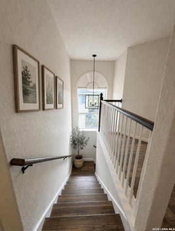 8007 Chisos Oak Drive San Antonio TX 78223