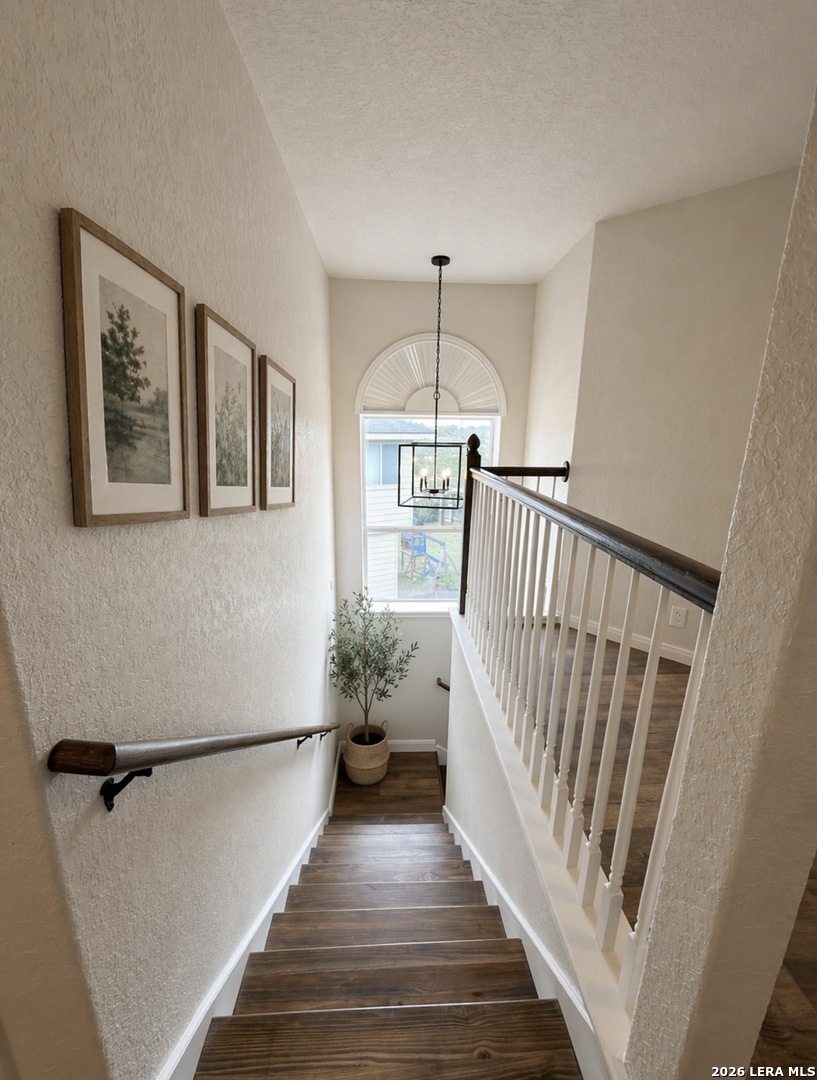 8007 Chisos Oak Drive San Antonio TX 78223