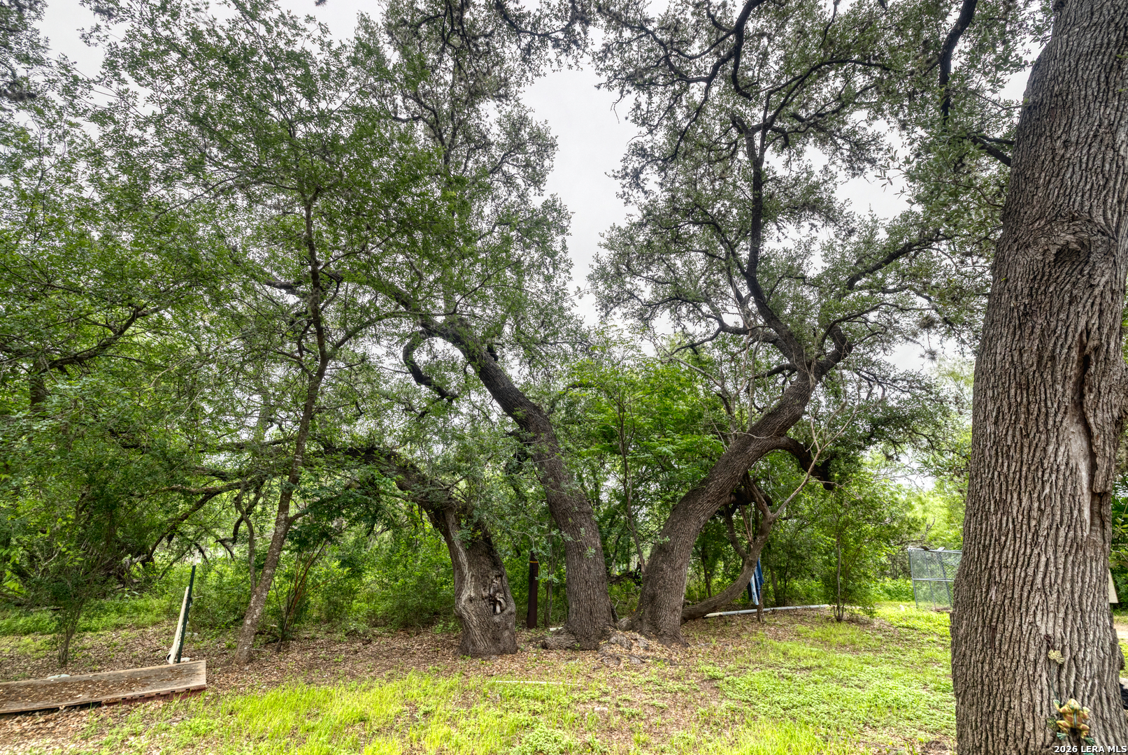 6197 Ranch Road 1120 Leakey TX 78873