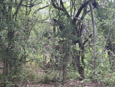 6197 Ranch Road 1120 Leakey TX 78873