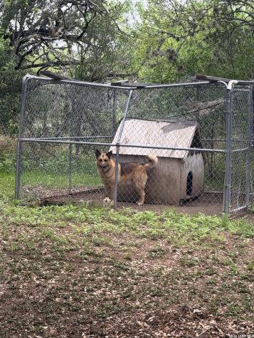 6197 Ranch Road 1120 Leakey TX 78873