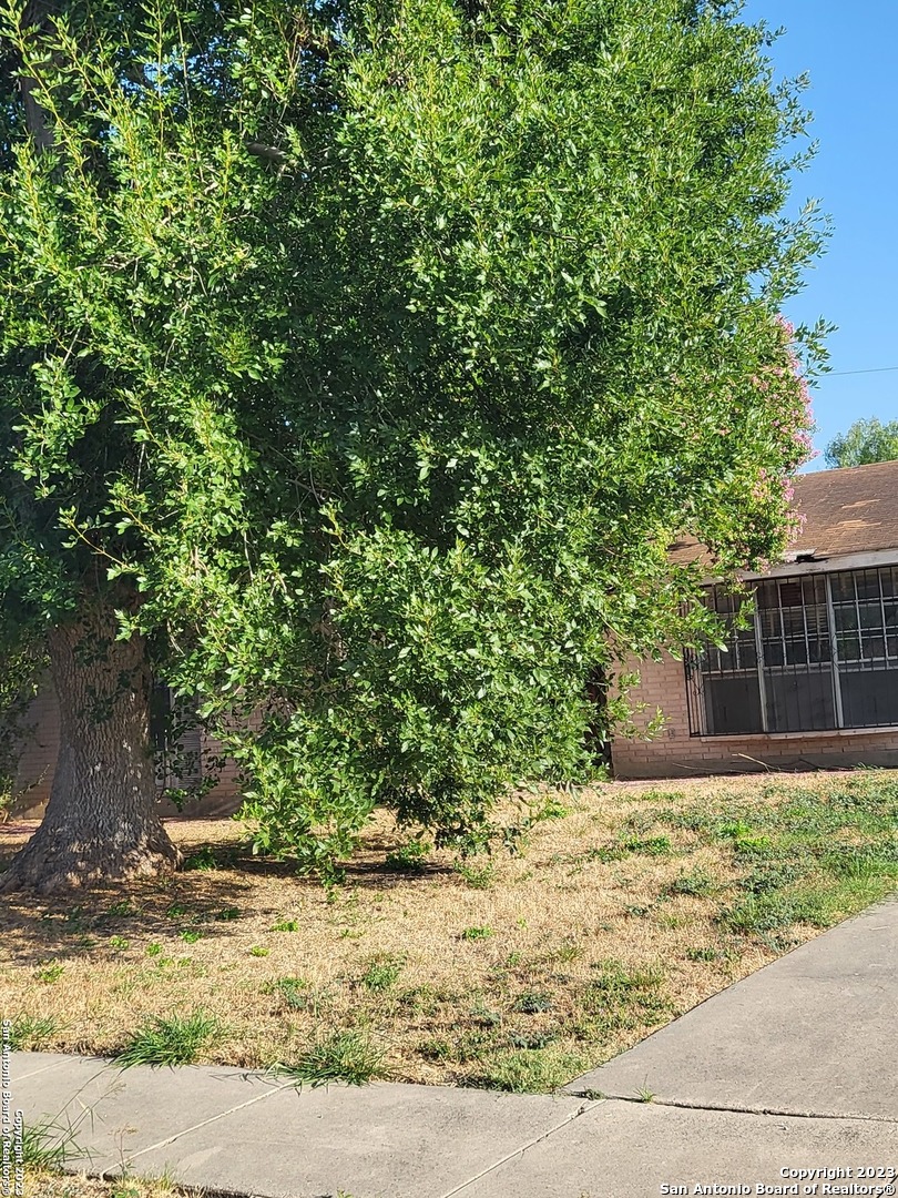 5546 Aspen Valley Street San Antonio TX 78242