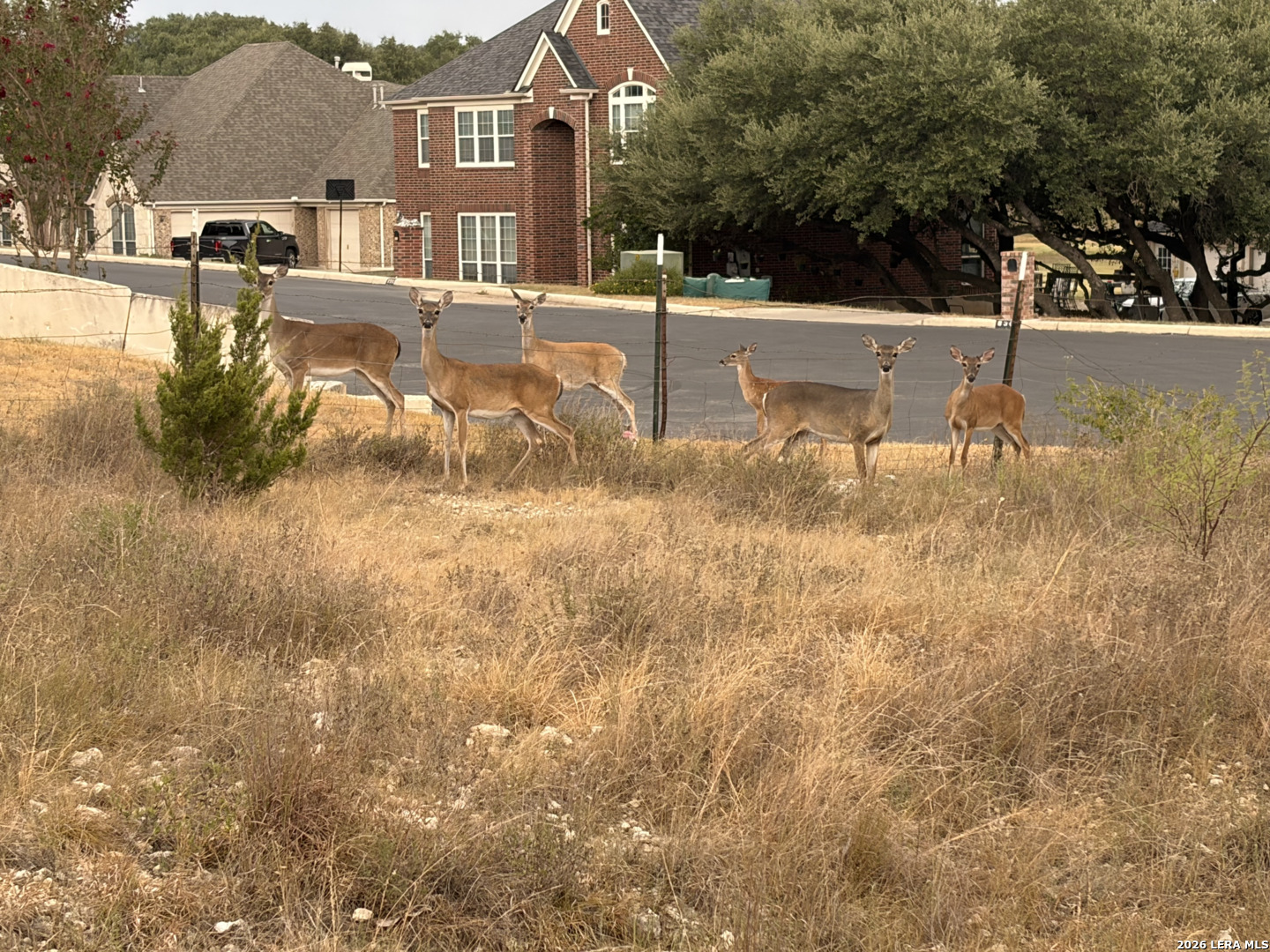 27915 Lokaya Falls Boerne TX 78015