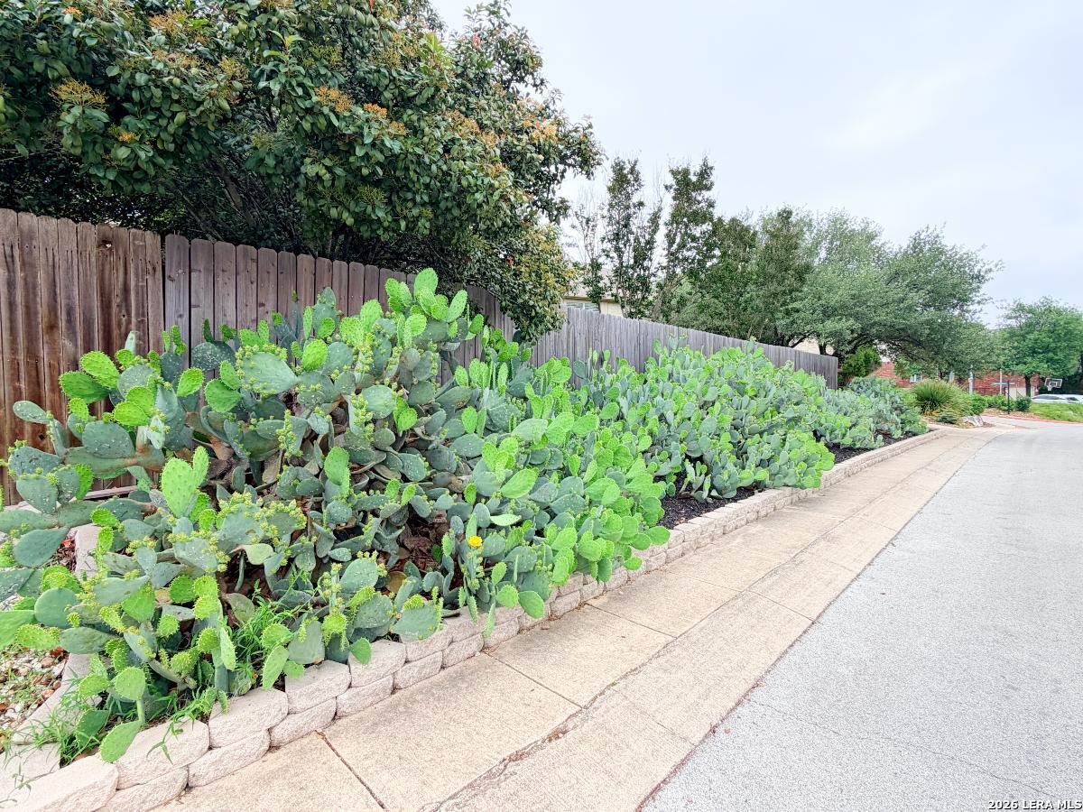 22303 Mesa Butte San Antonio TX 78258