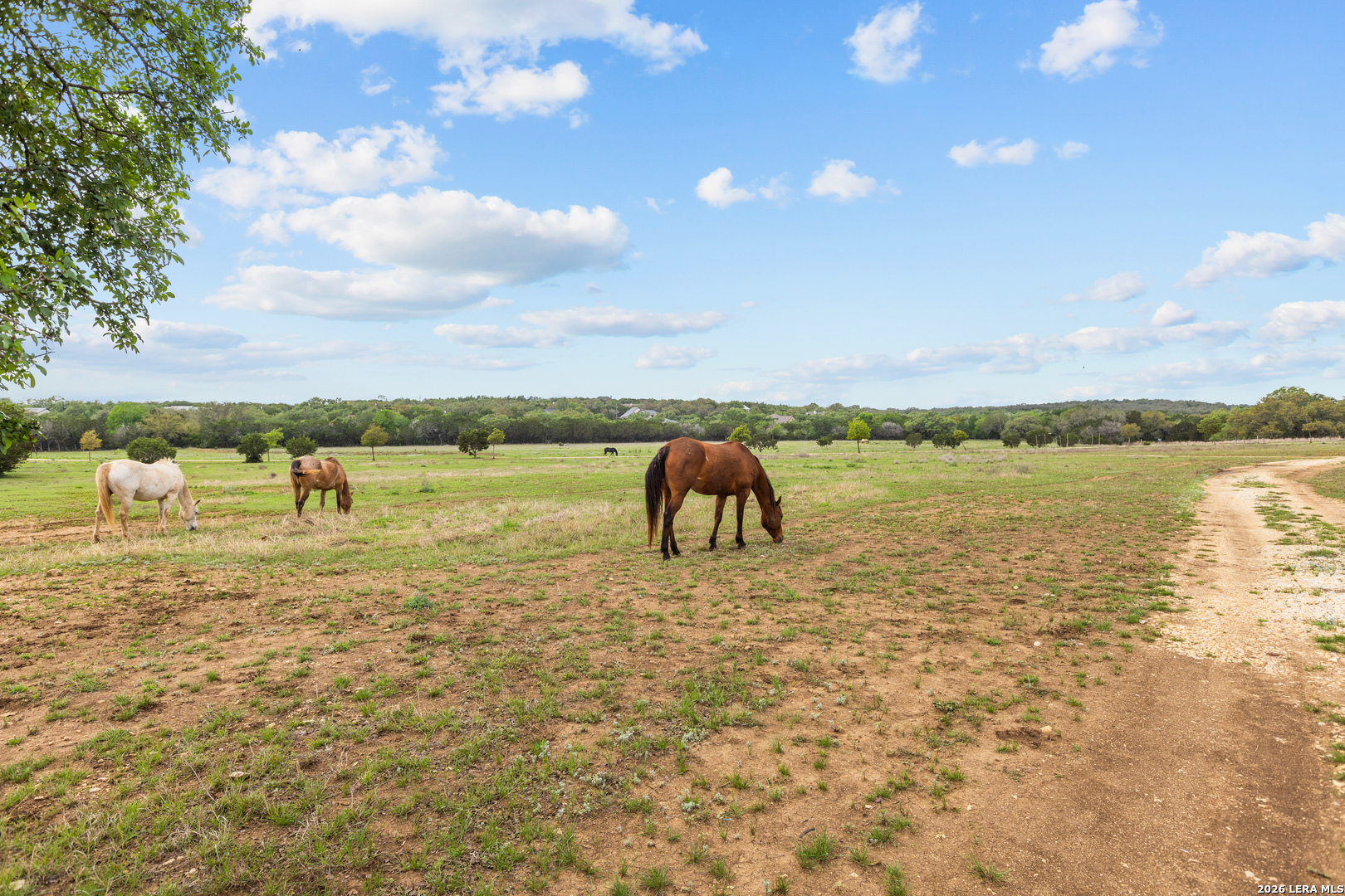 1280 Stoney Ridge Bulverde TX 78163