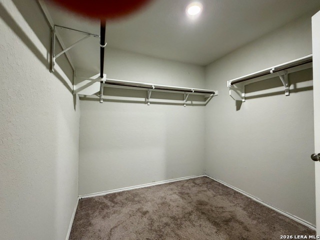 14019 Mulch Court San Antonio TX 78252