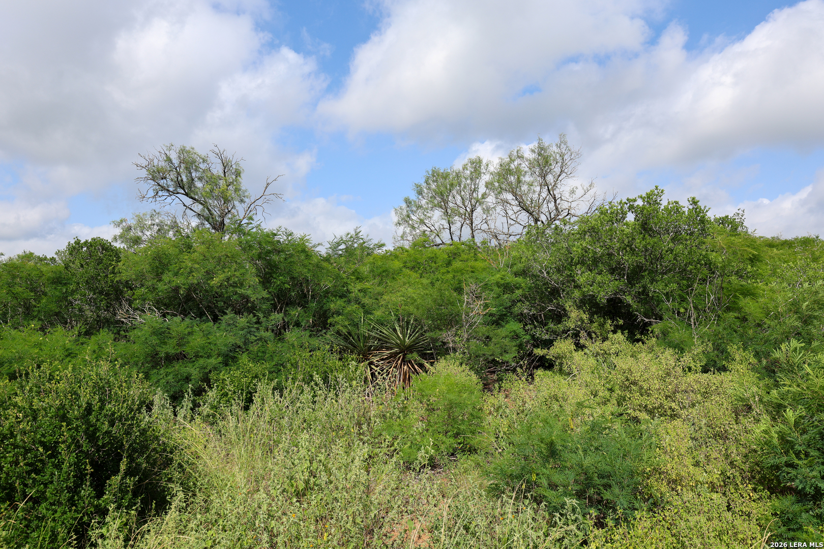 8711 County Road 1301 Moore TX 78057