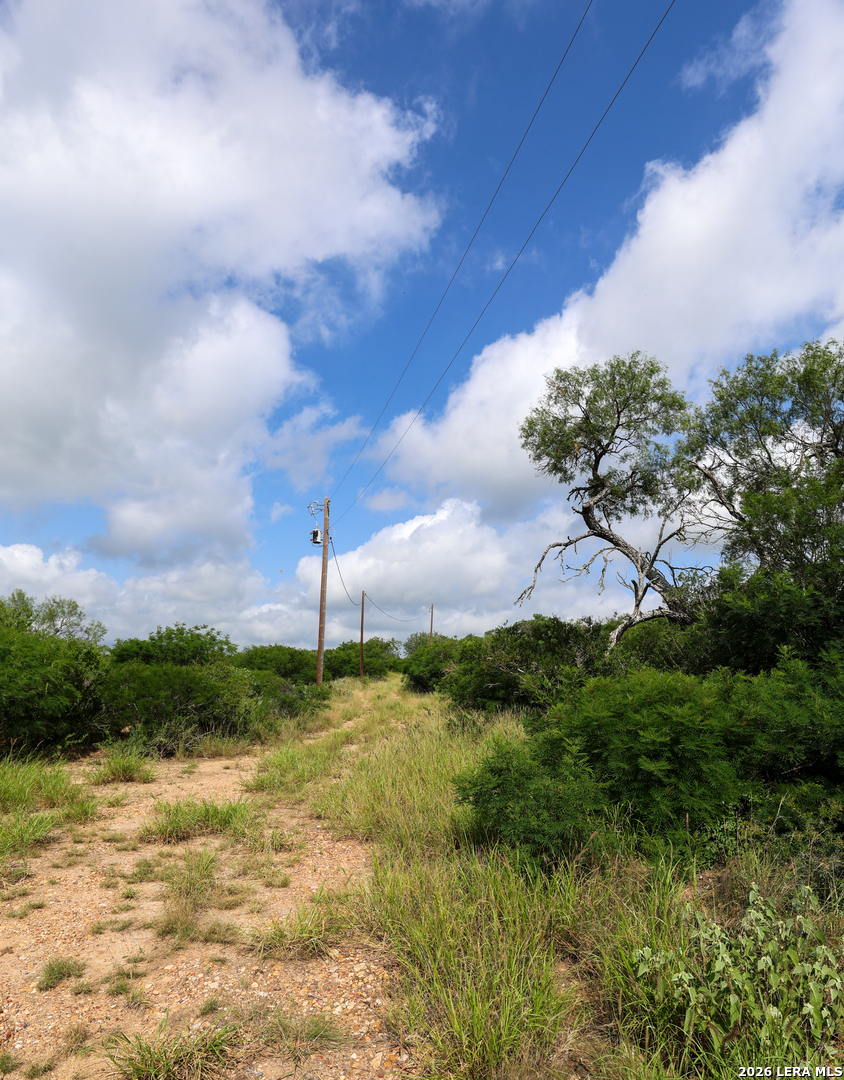 8711 County Road 1301 Moore TX 78057