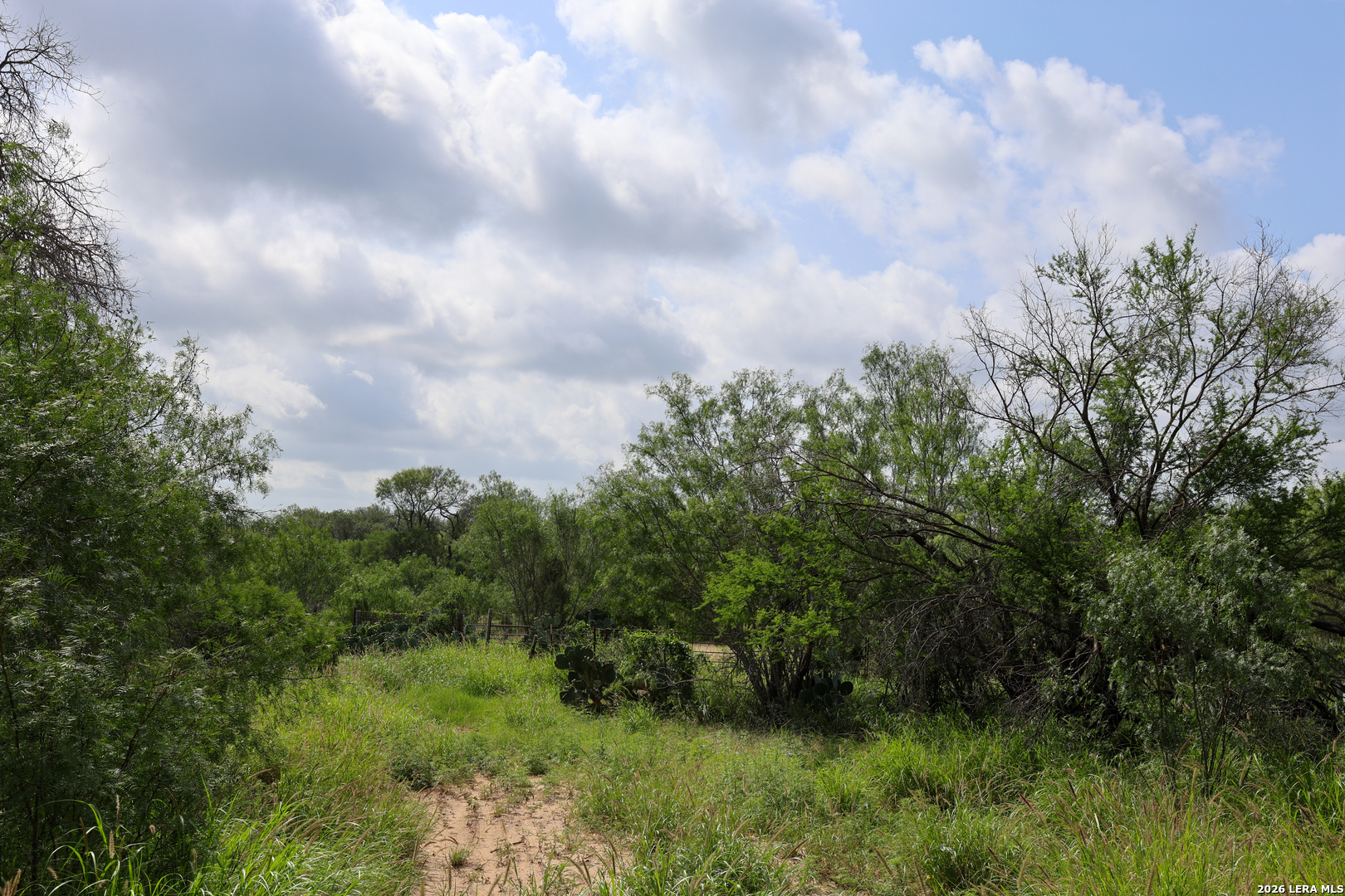 8711 County Road 1301 Moore TX 78057