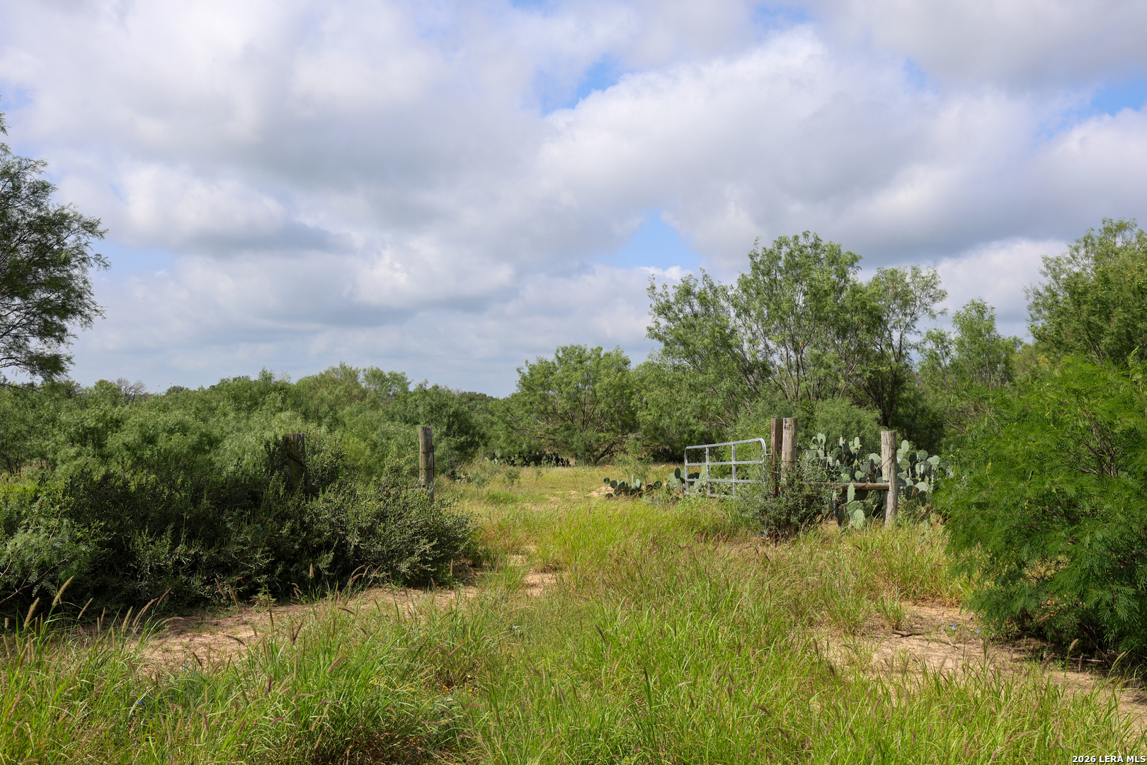 8711 County Road 1301 Moore TX 78057