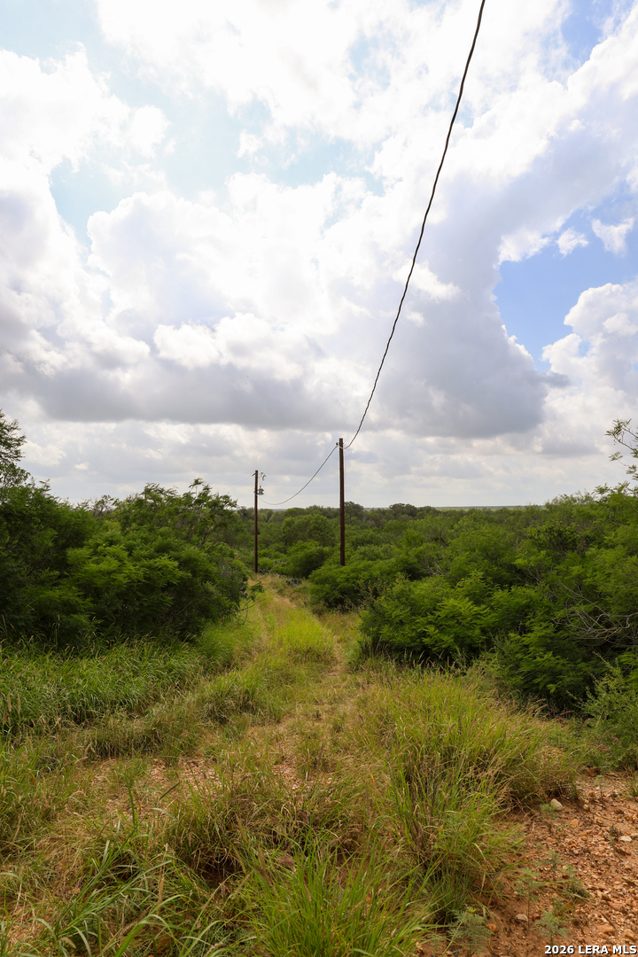 8711 County Road 1301 Moore TX 78057