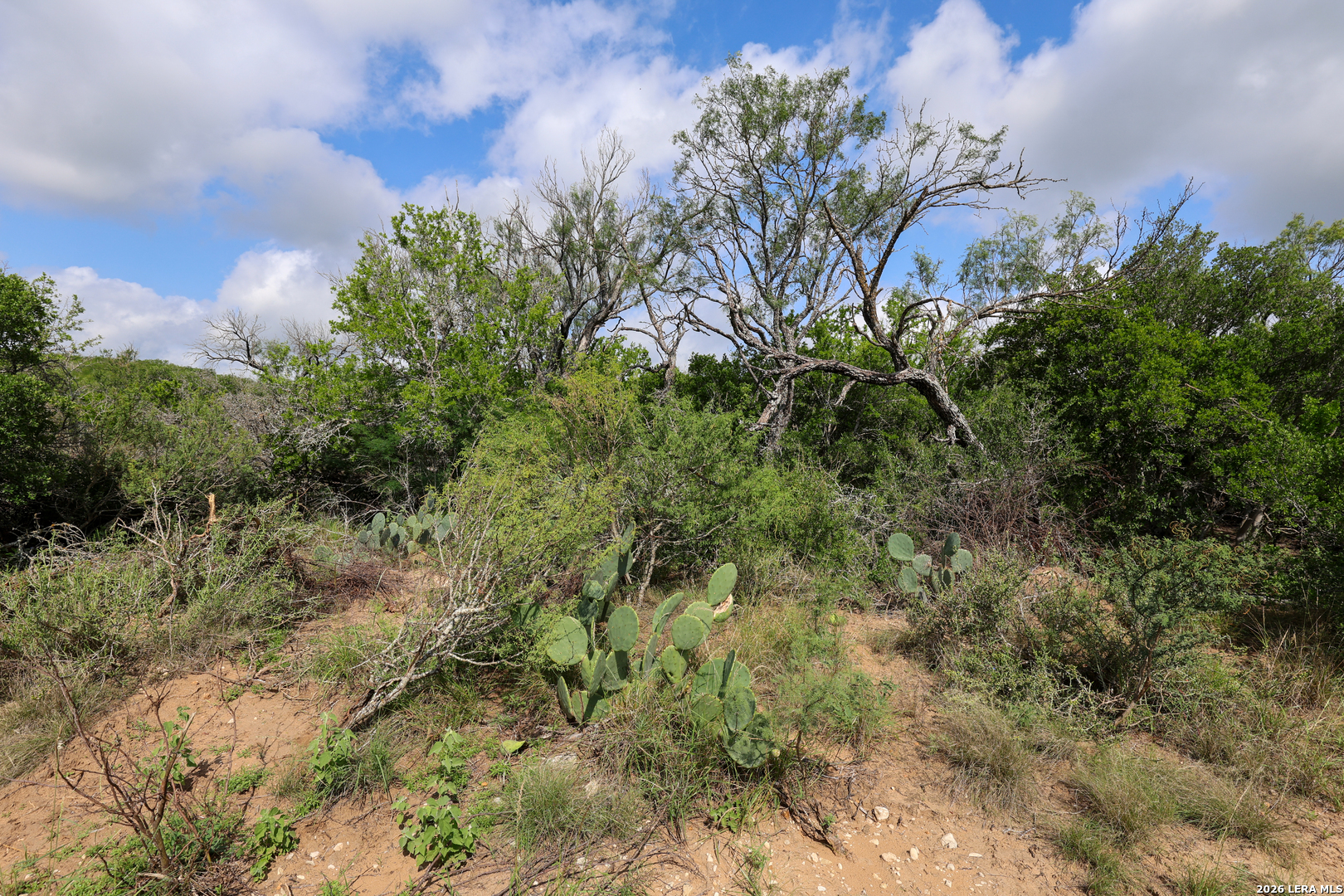 8711 County Road 1301 Moore TX 78057