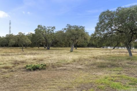 22050 Hanging Oak San Antonio TX 78266