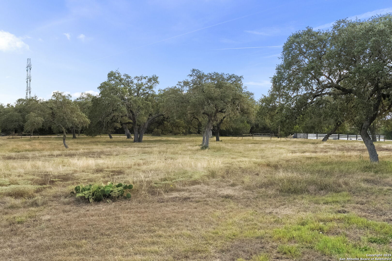 22050 Hanging Oak San Antonio TX 78266