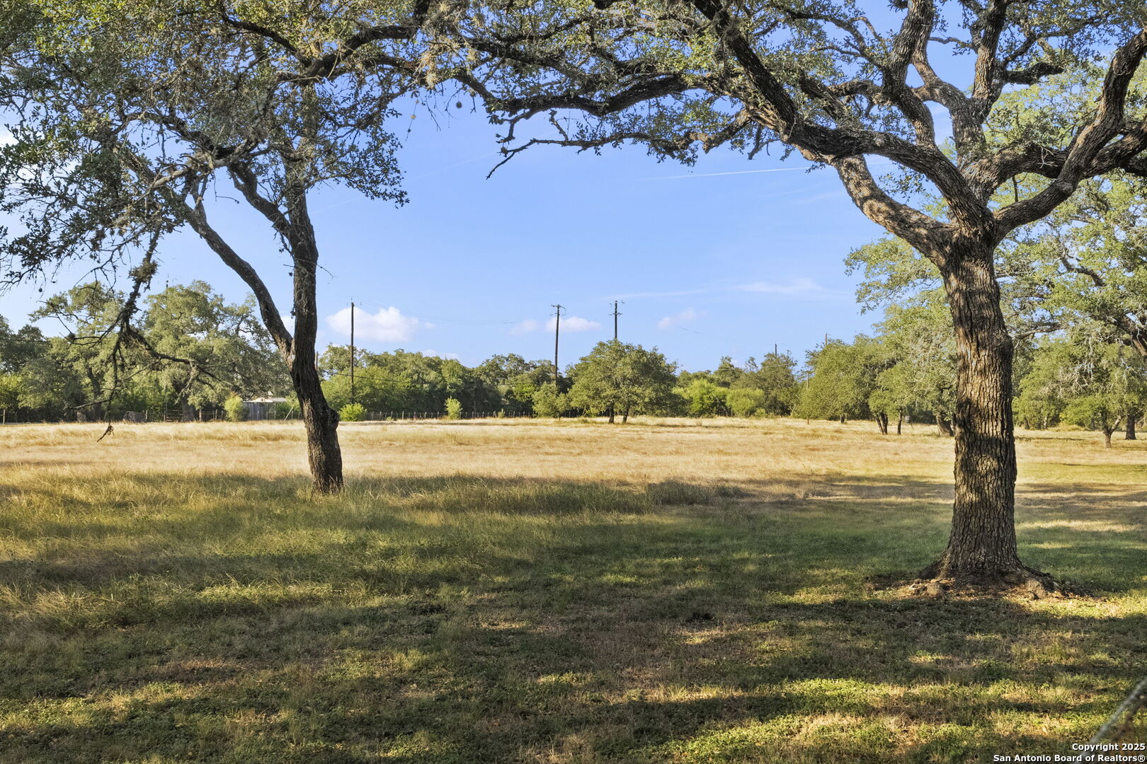 22050 Hanging Oak San Antonio TX 78266