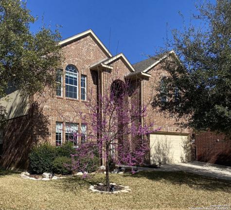 24414 Galo Canyon San Antonio TX 78260
