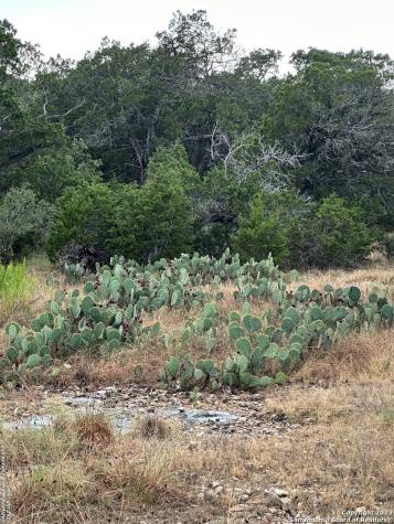 00 Comanche Trail Bandera TX 78003