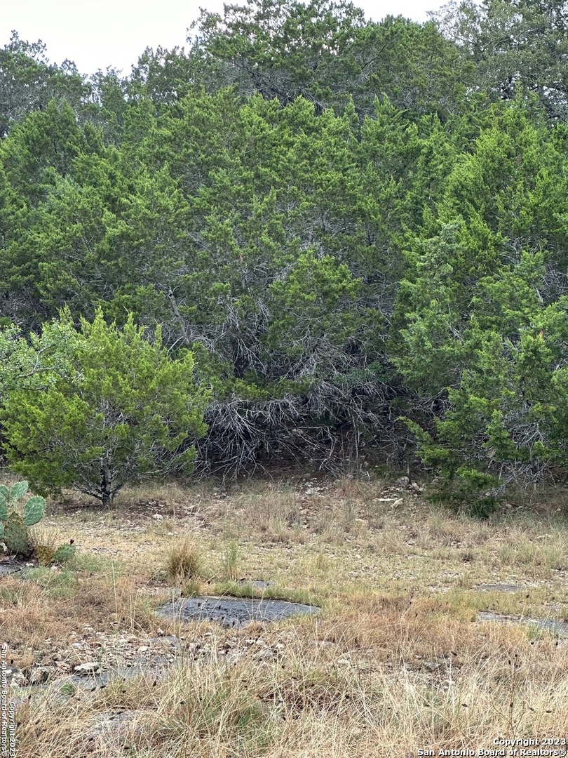 00 Comanche Trail Bandera TX 78003