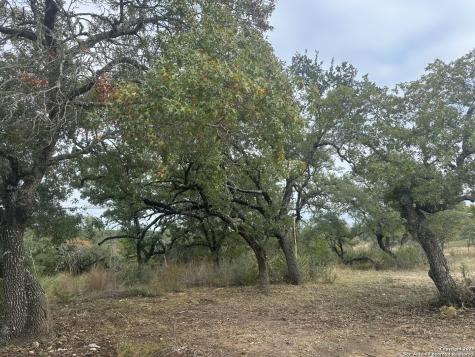 596 Oakridge Lane Pipe Creek TX 78063