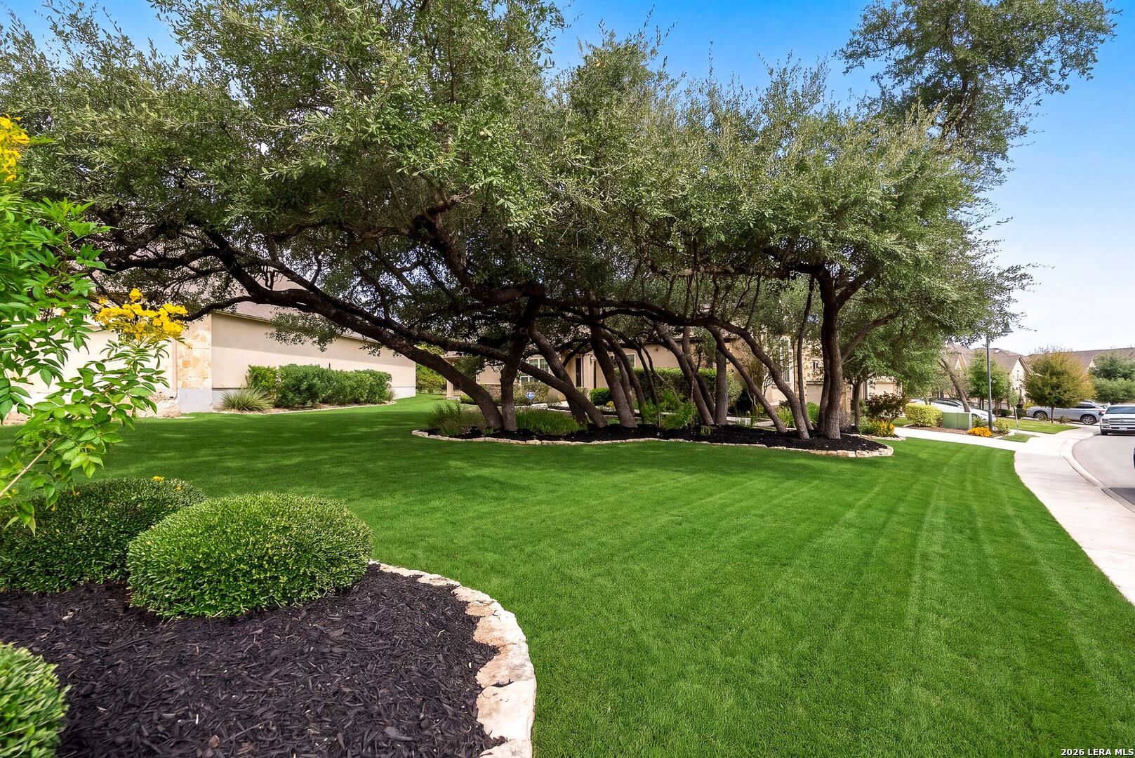 28105 Bass Knoll San Antonio TX 78260