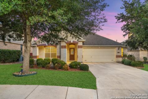 23226 Bison Canyon San Antonio TX 78261