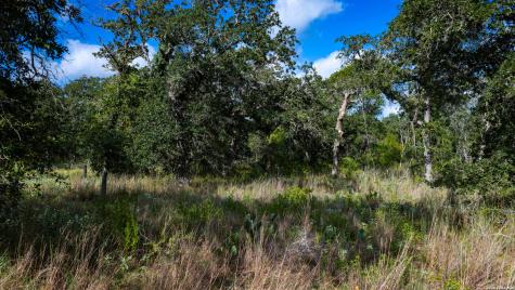 5476 County Road 427 Stockdale TX 78160