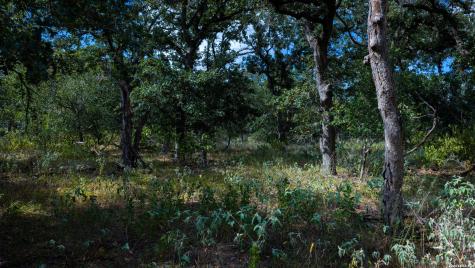 5476 County Road 427 Stockdale TX 78160